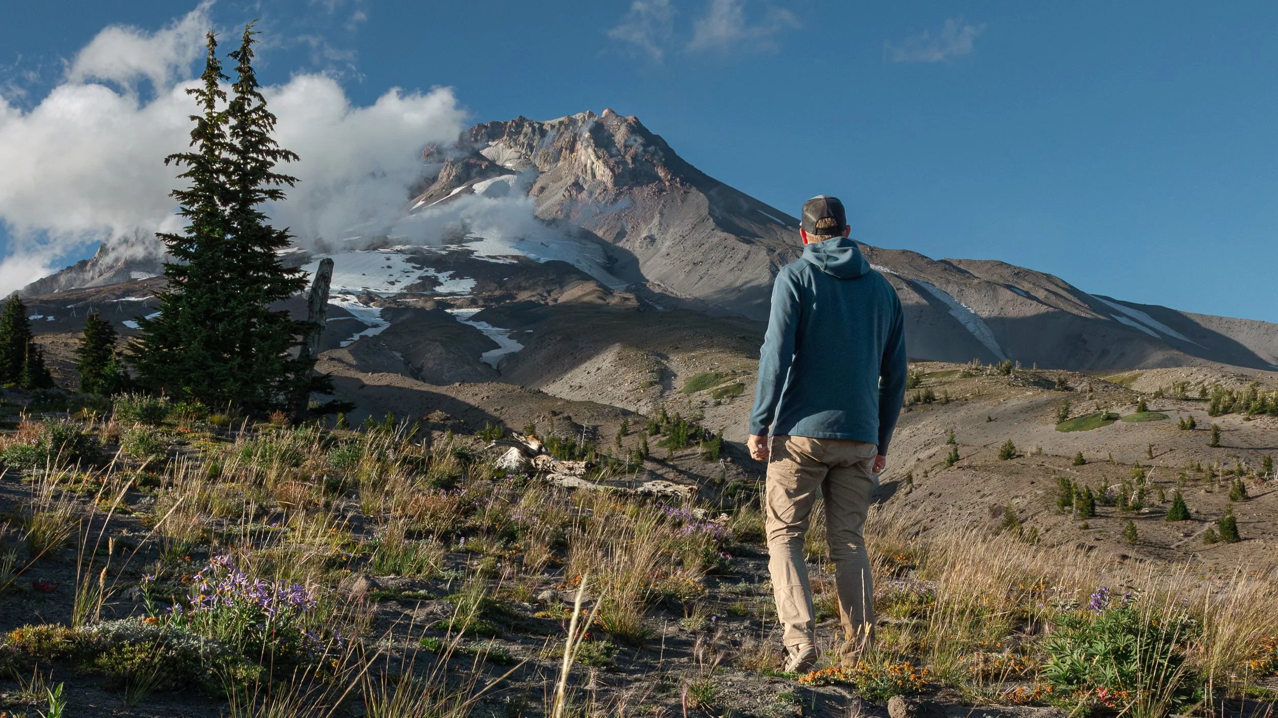 A person walking in a mountainous landscape with snow patches, tall pine trees, and wildflowers, under a blue sky with some clouds.