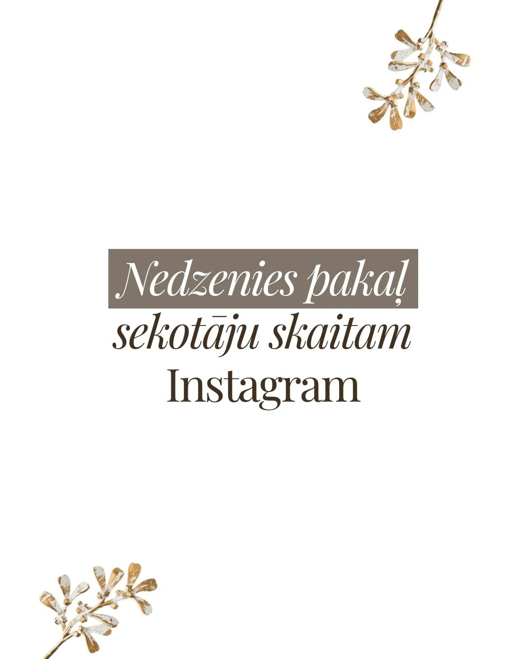 Uzņēmumiem bieži &scaron;ķiet, ka sekotāju skaits ir galvenais rādītājs sociālajos tīklos. Patiesībā tā nav.

Jā, liels sekotāju skaits izskatās iespaidīgi profilā. Taču tas nenozīmē, ka saturs sasniedz cilvēkus vai rada iesaisti.

Es &scaron;eit ner
