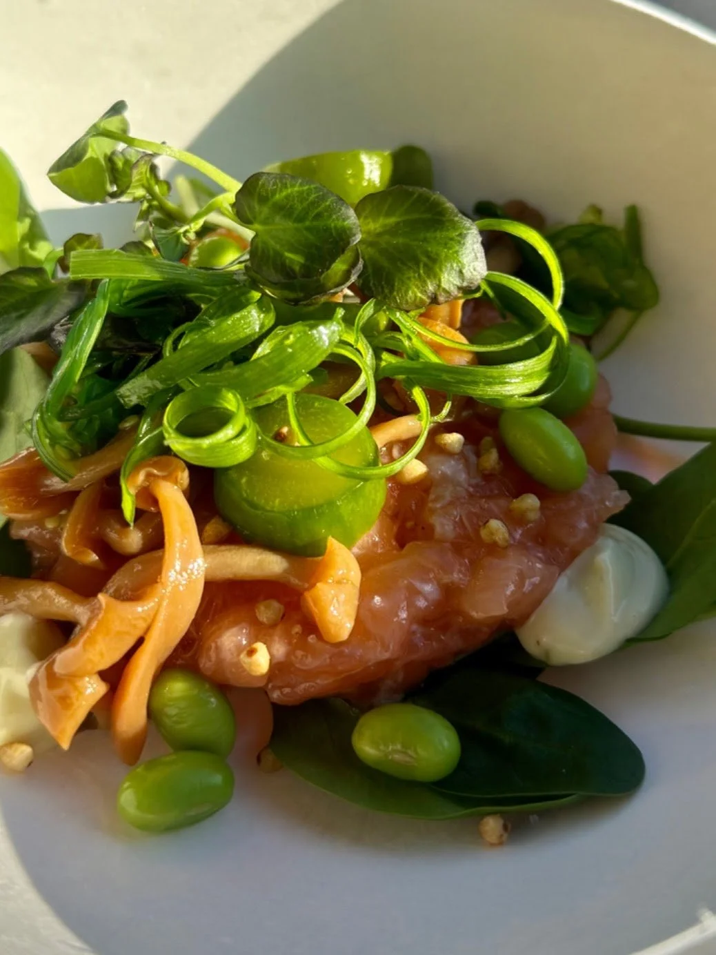 Verse zalm met groene garnalen, jonge peultjes, spirulina, krokante groenten en microgroenten, geserveerd op een wit bord.