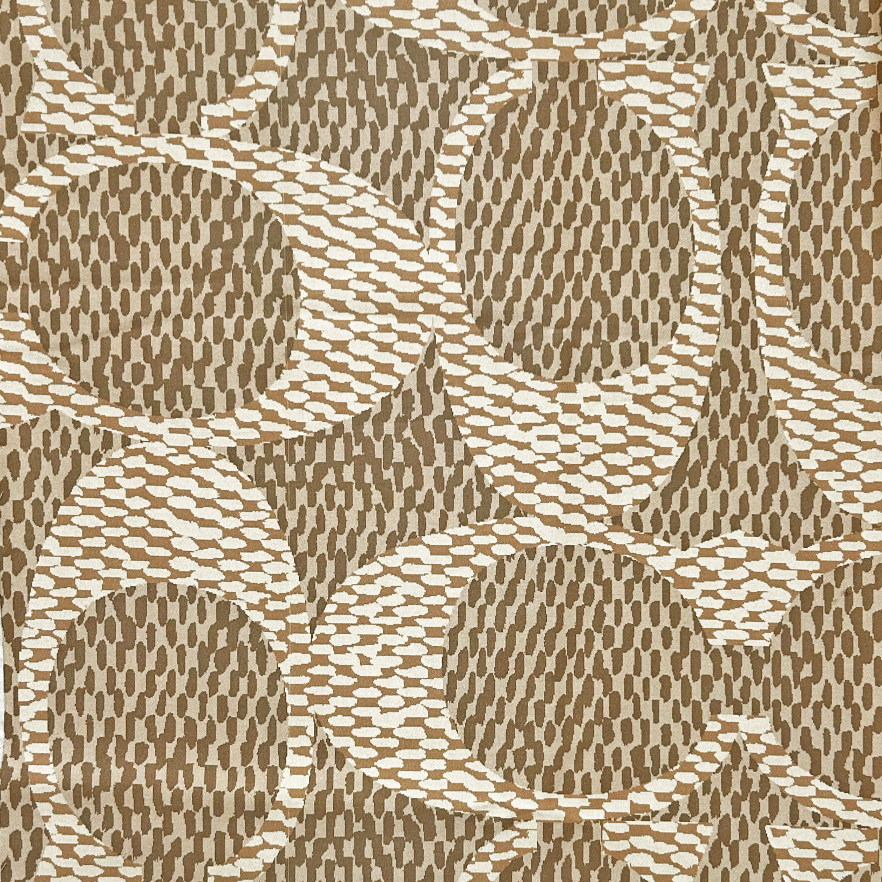 Coach Special Project 2022