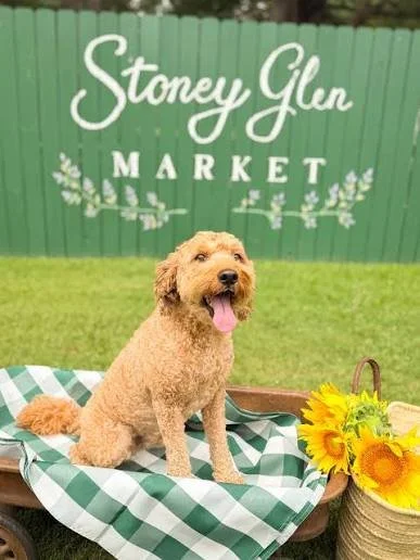 Stoney Glen Market