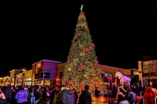 Woodbridge Tree Lighting & Christmas Market