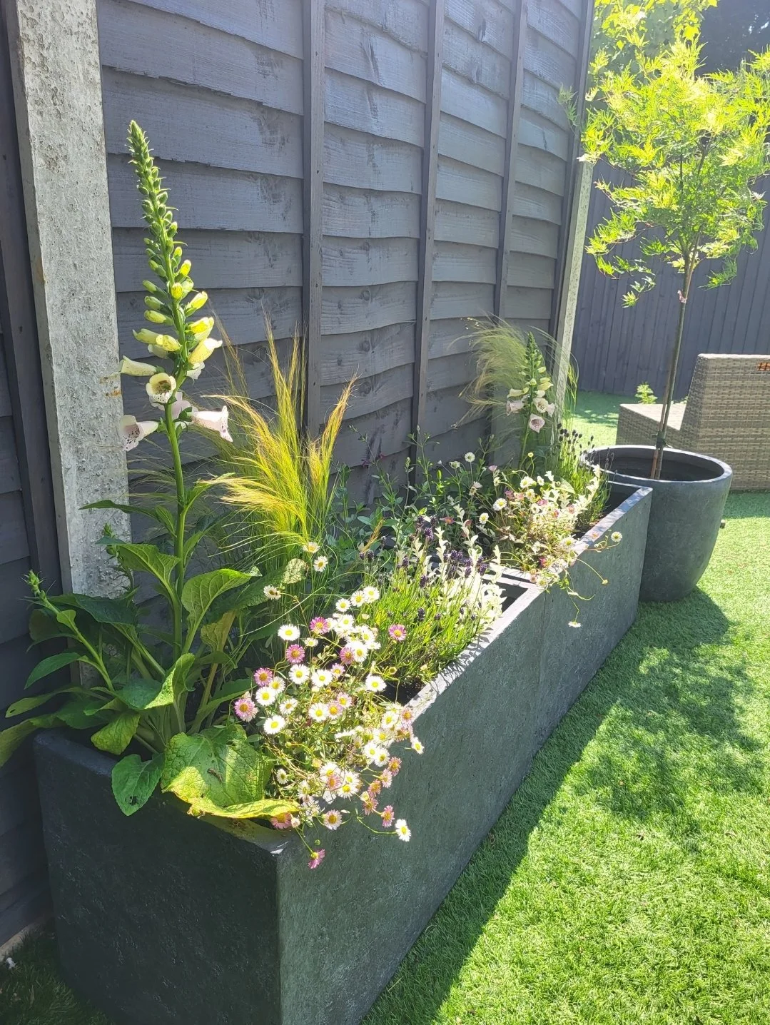 container planting ideas