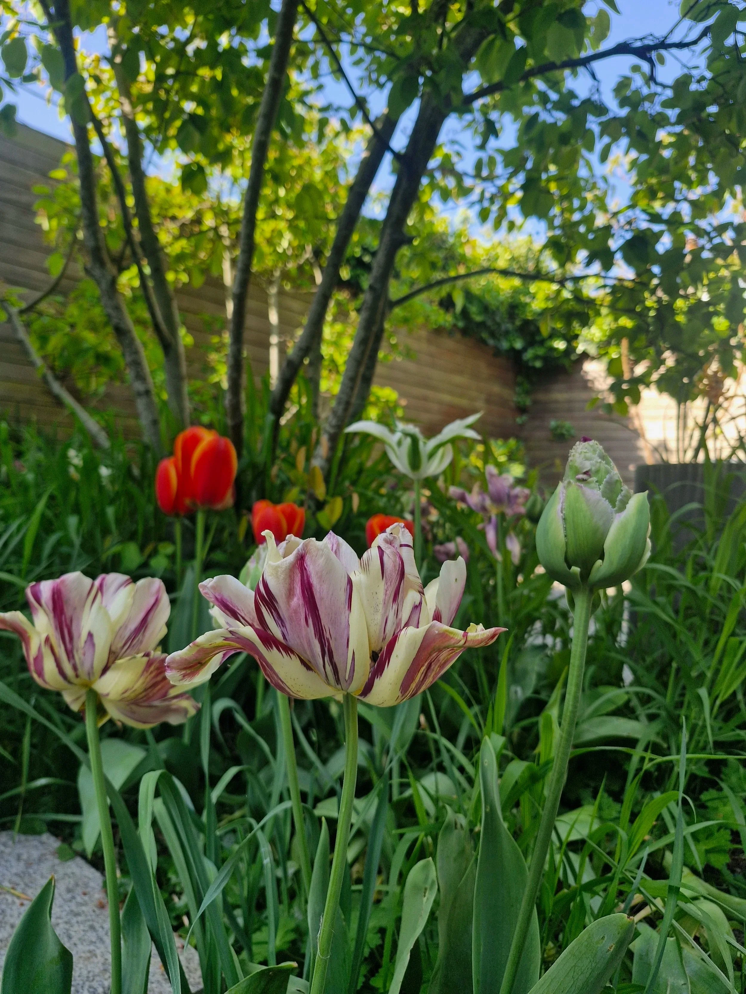 A week in the life of a gardener