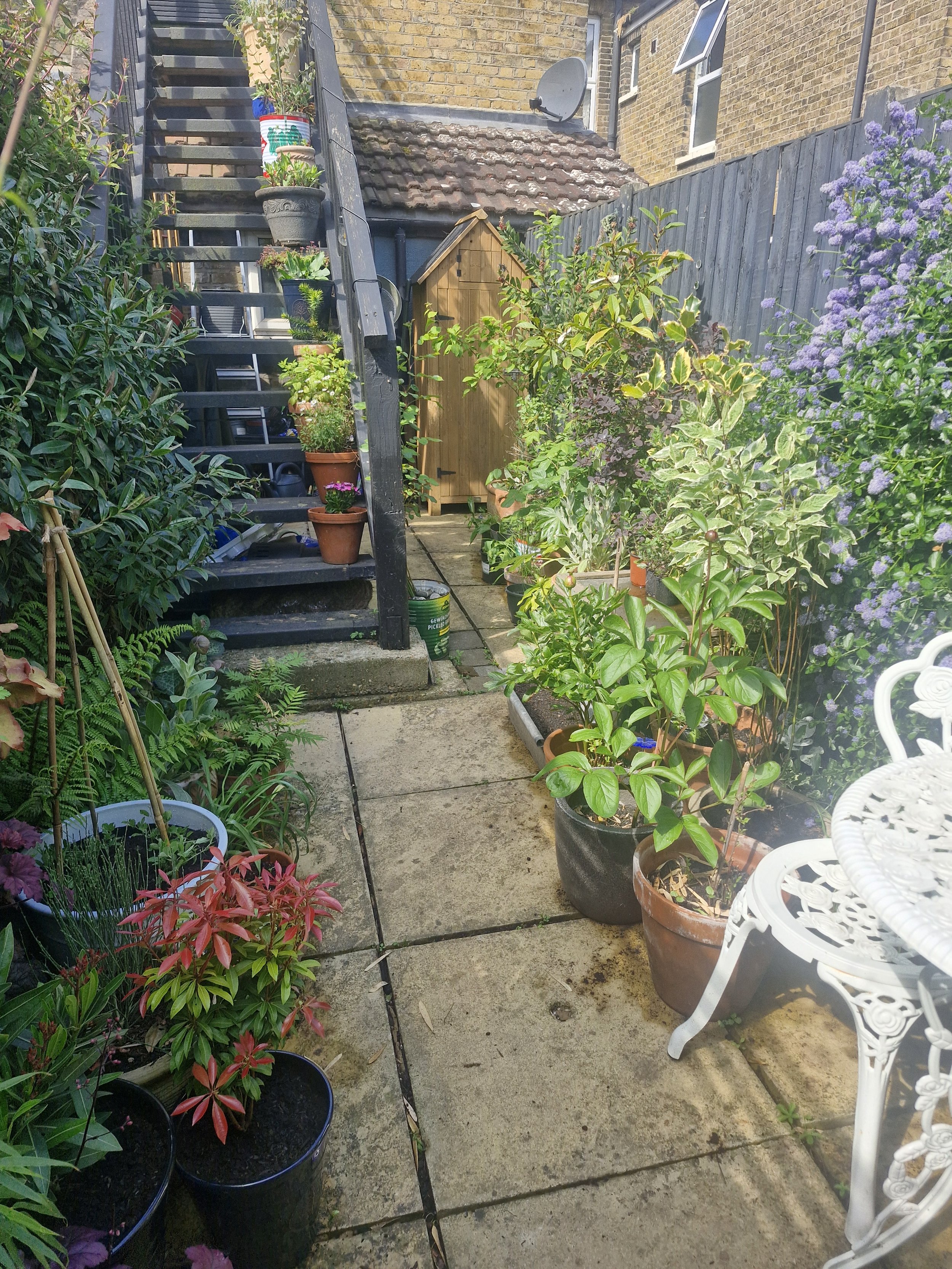 In praise of micro gardens
