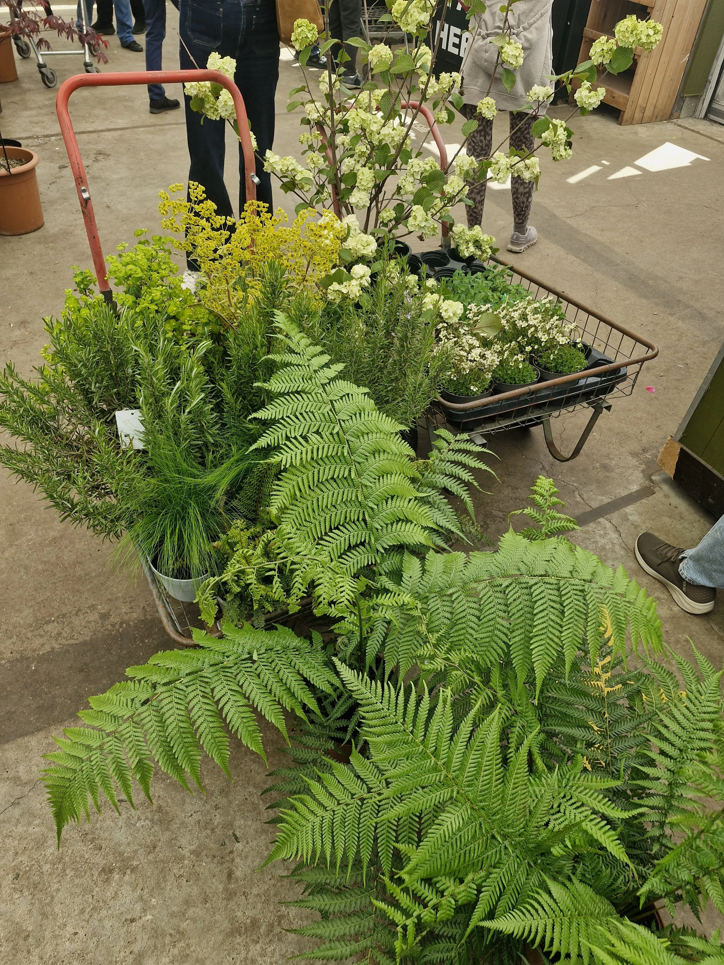 Plant personal shopping