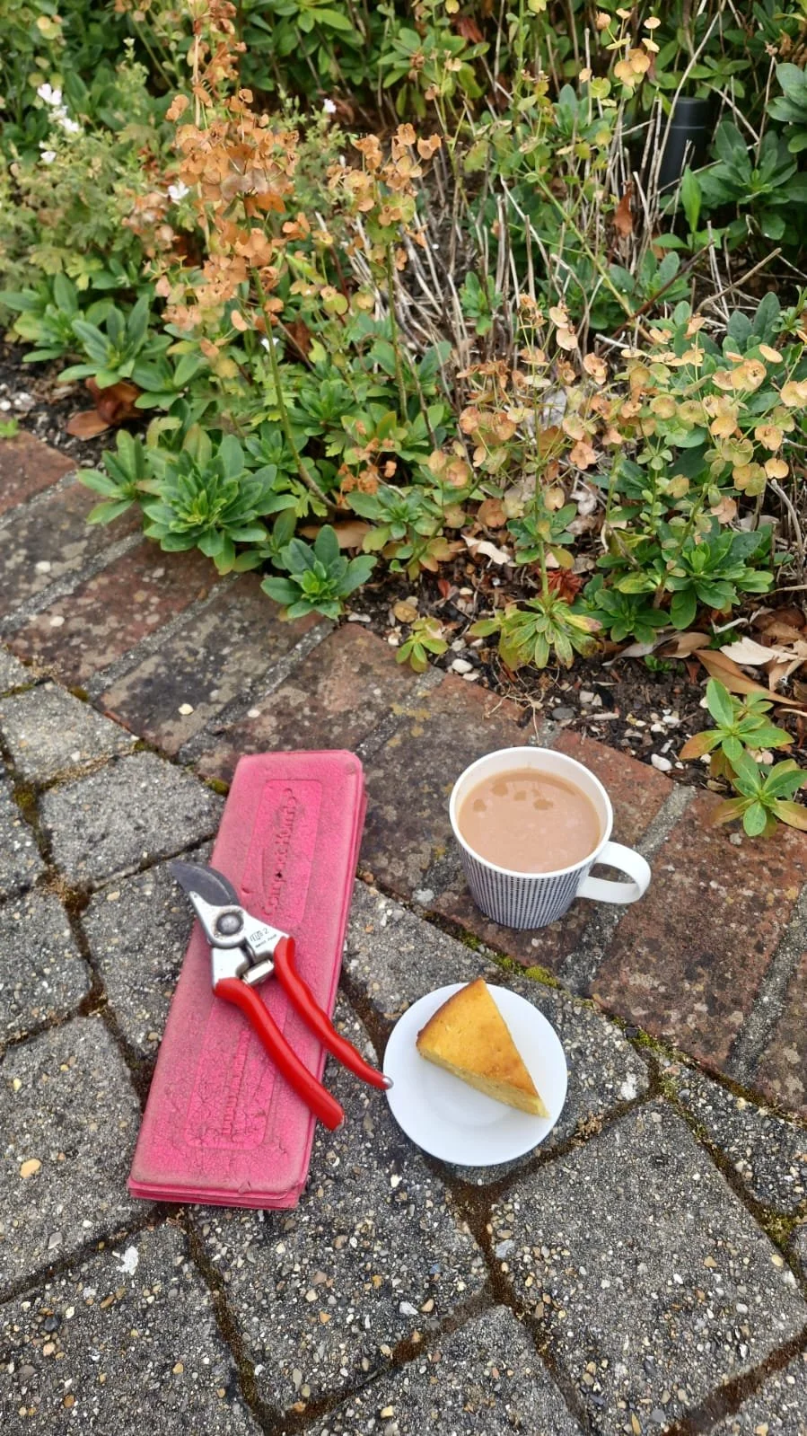 The analogue gardener