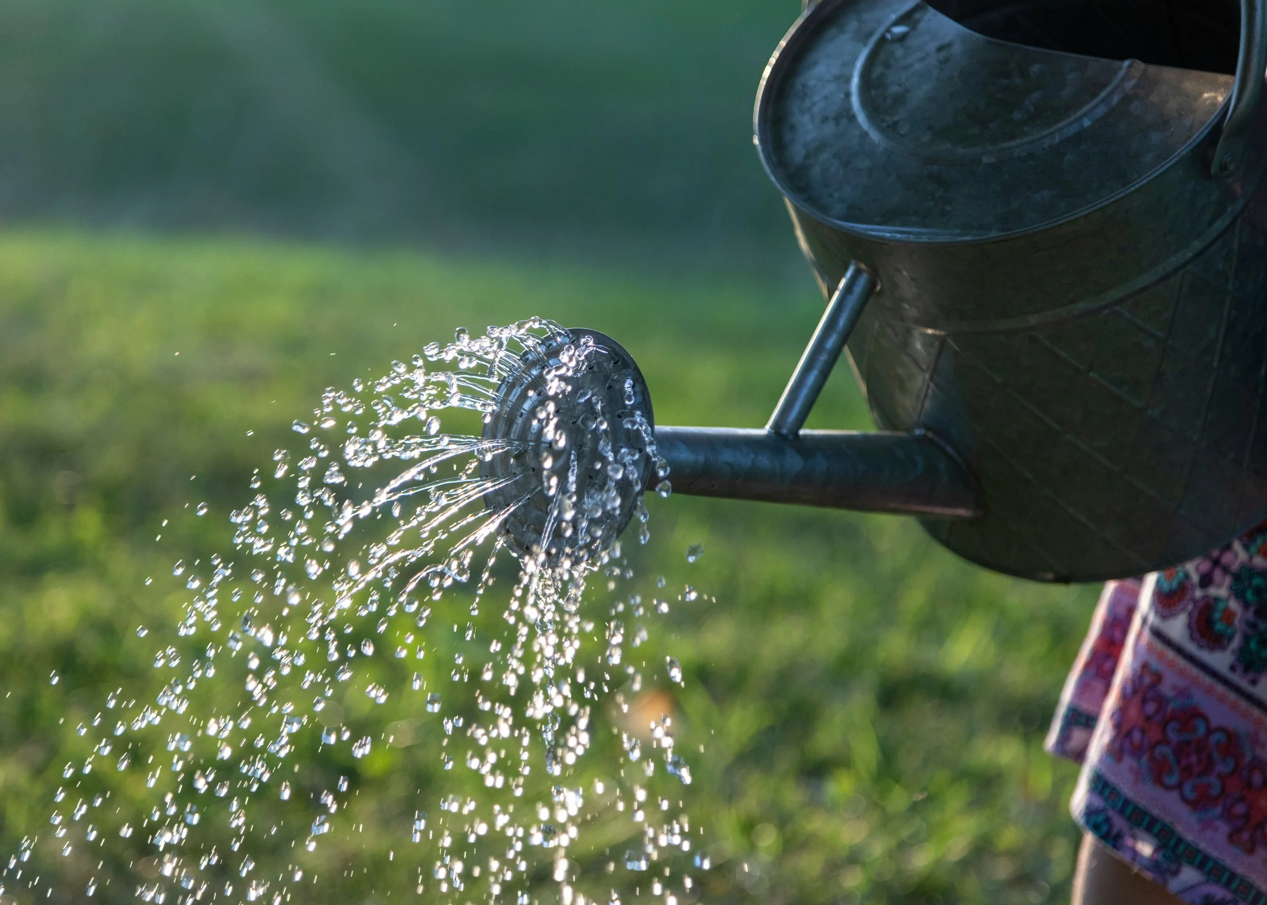 A note on the hosepipe ban