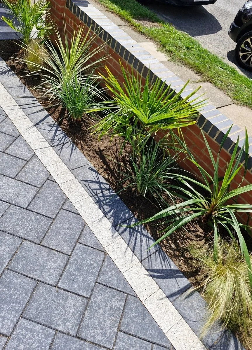 Front garden designs