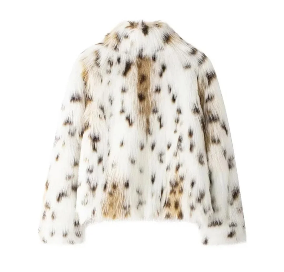 WhatsApp Image 2026-01-18 at 19.14.28.jpeg