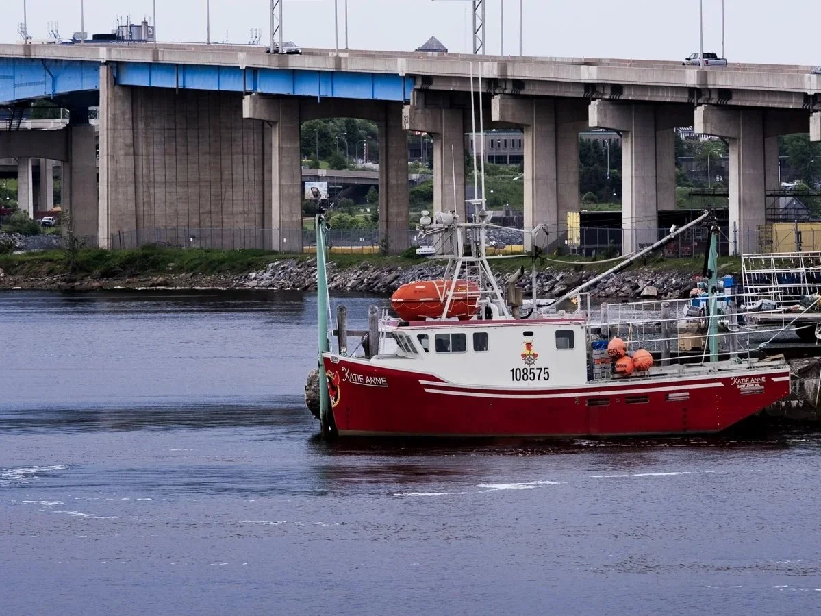 DSCF2265.jpg
