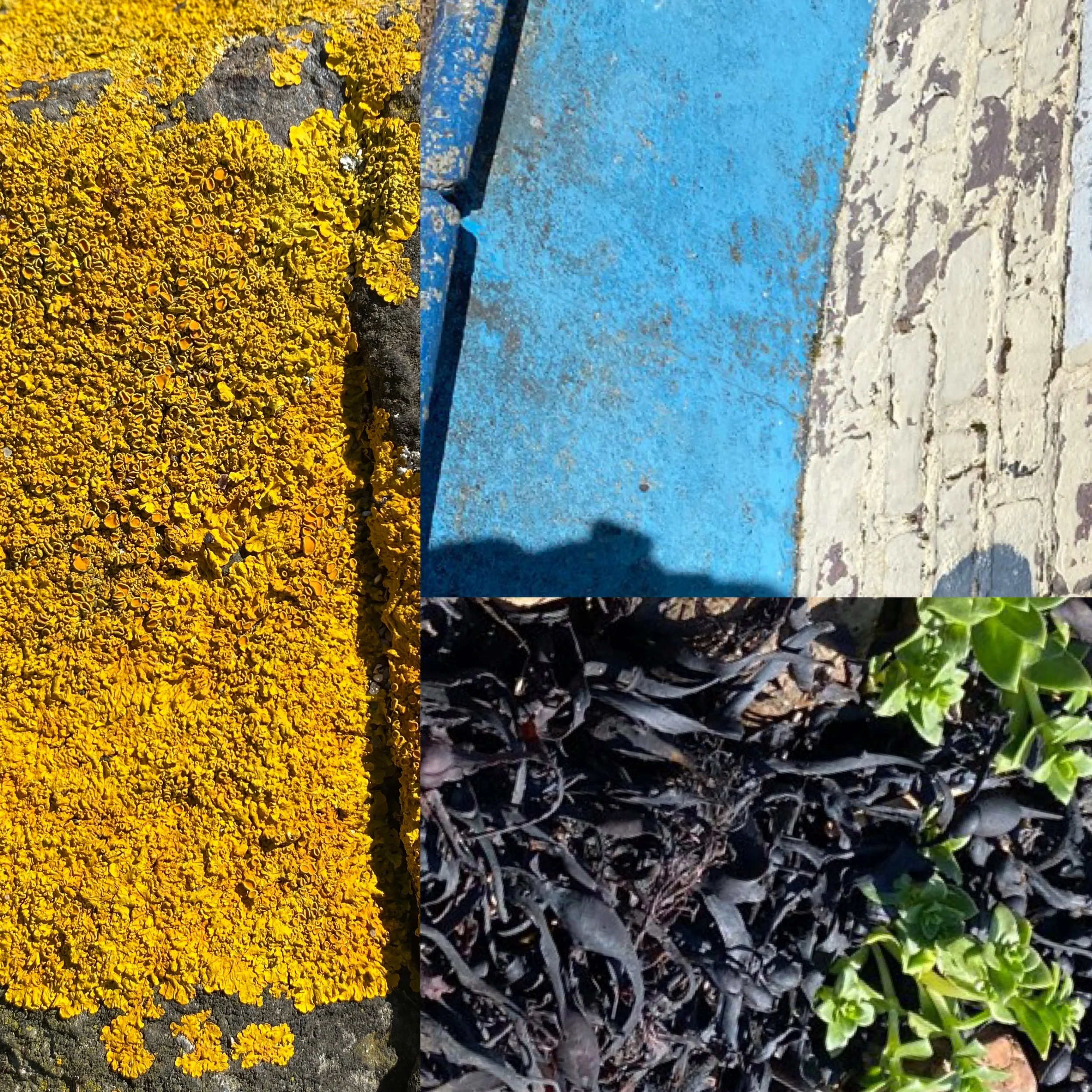 IMG_0036.jpeg