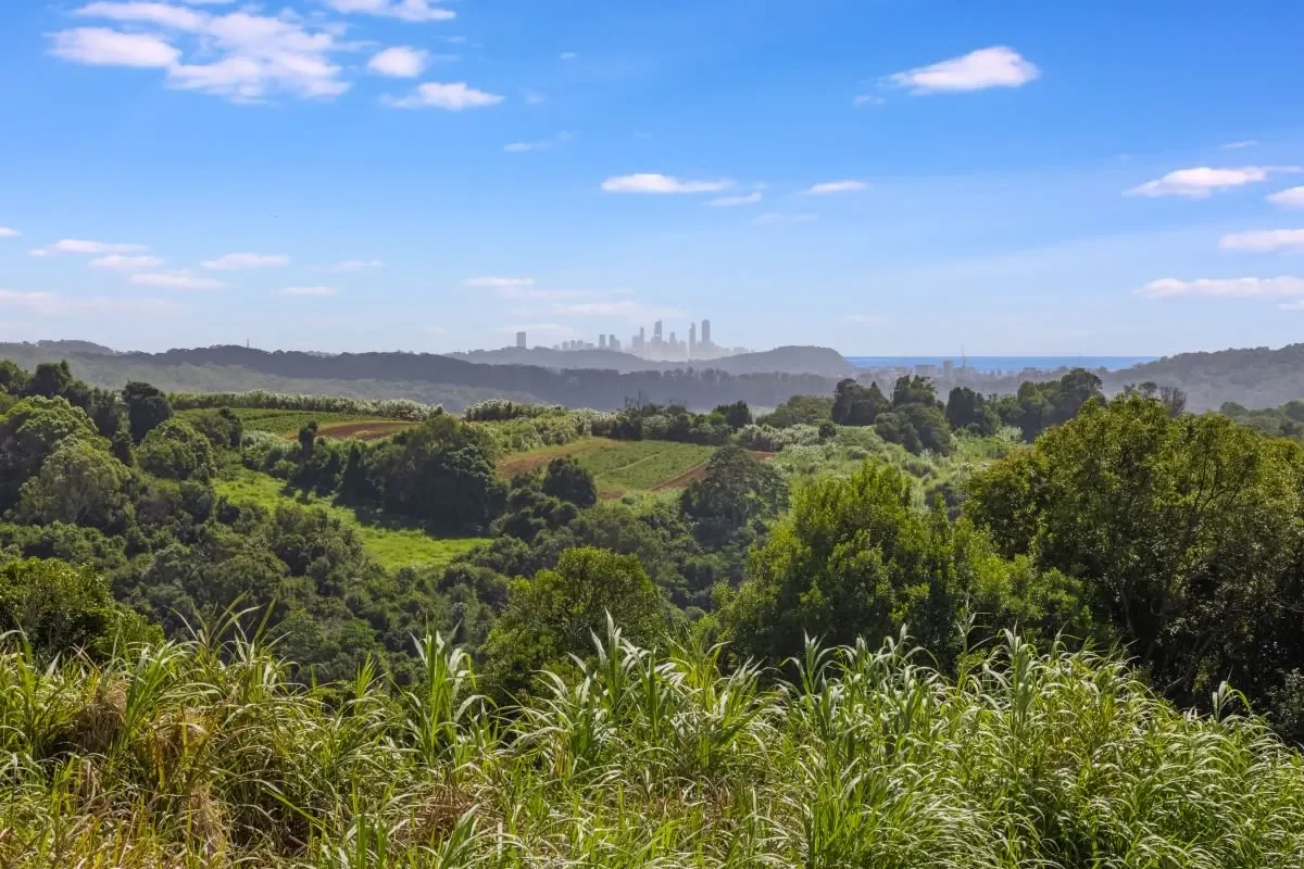 67 Scenic Drive Bilambil Heights 2.webp