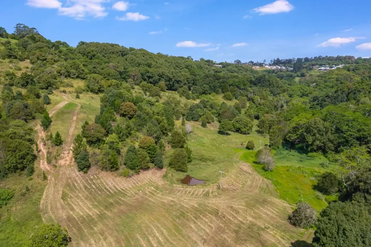 67 Scenic Drive Bilambil Heights 6.webp