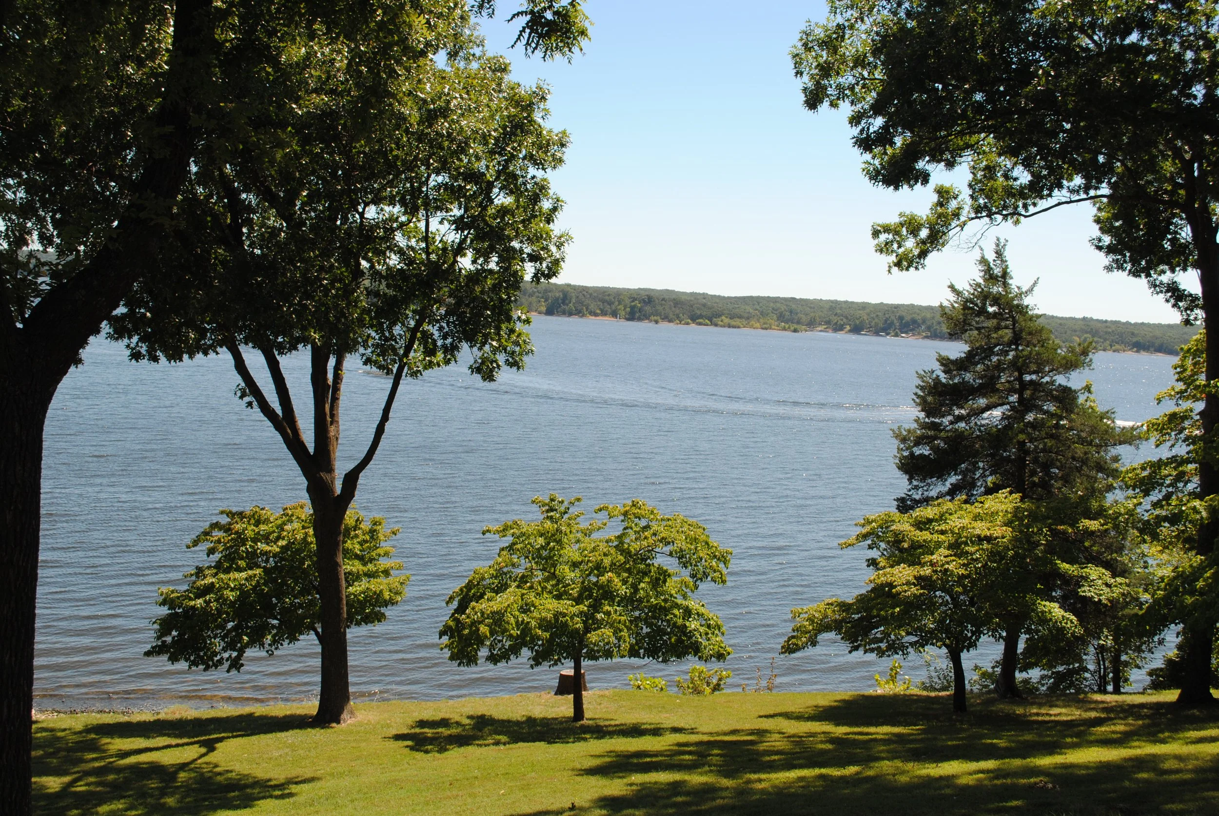 DSC_0135.JPG