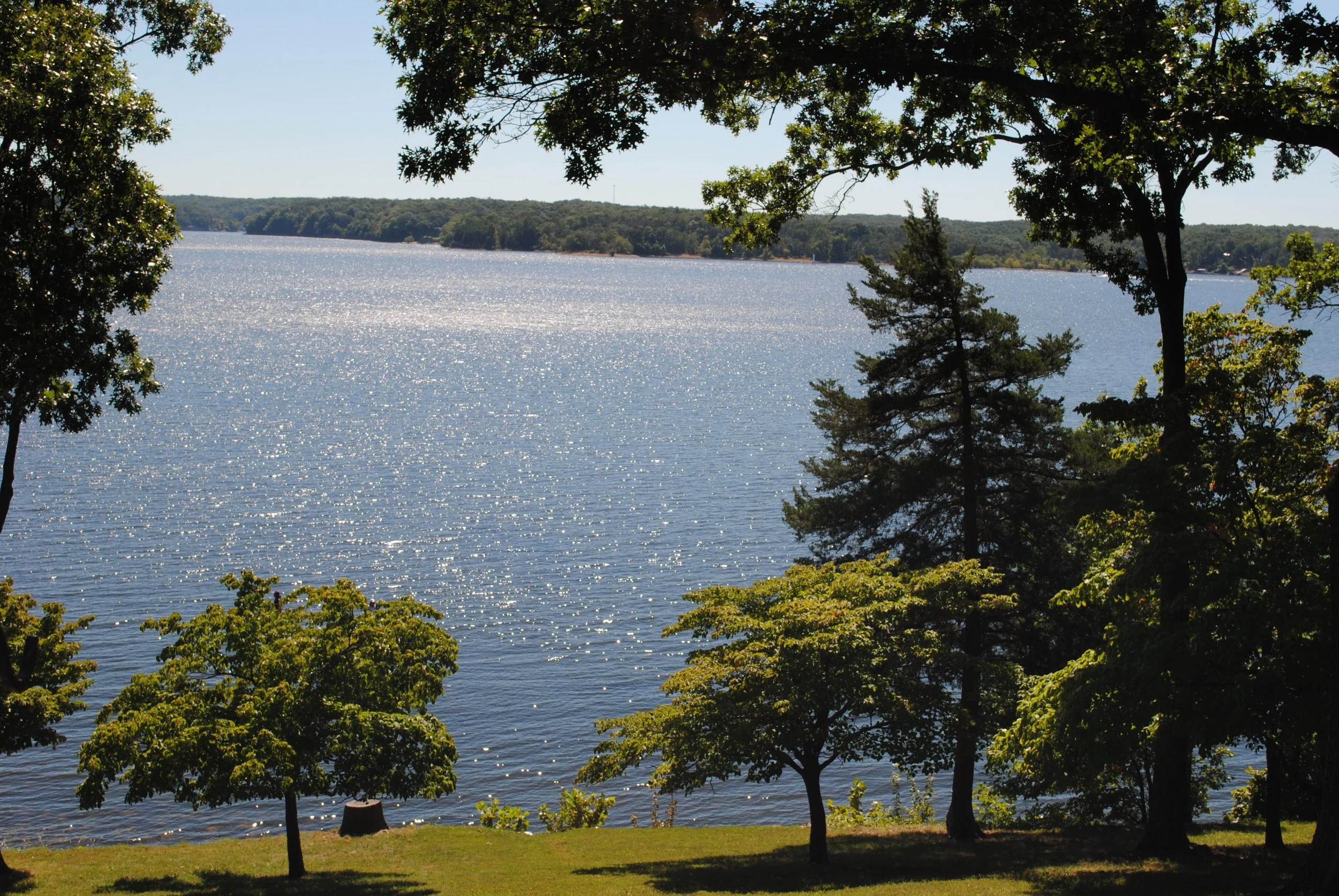 DSC_0105.JPG