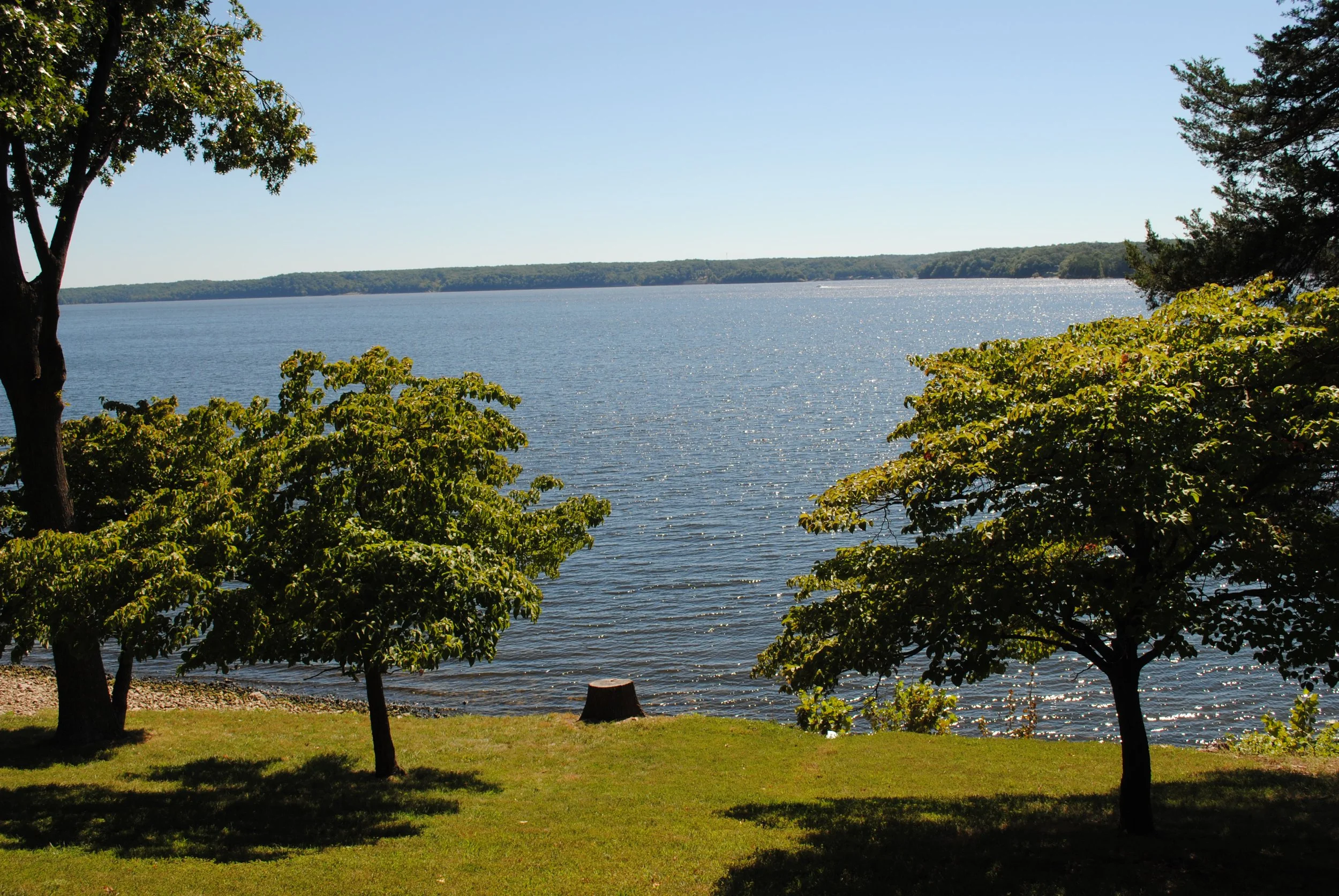 DSC_0111.JPG