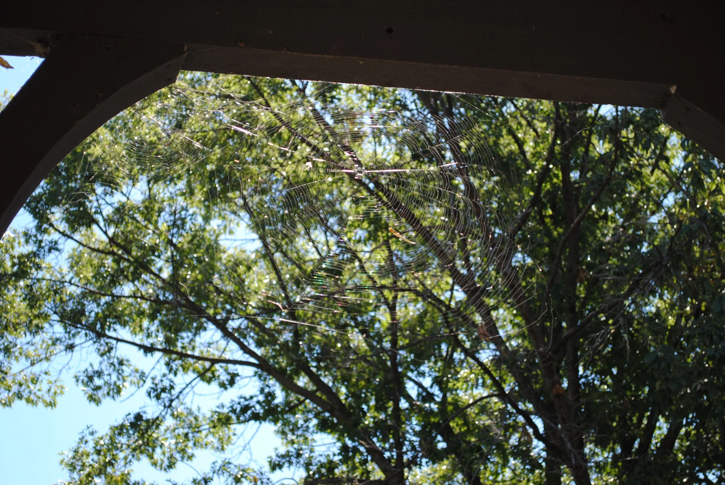 DSC_0113.JPG
