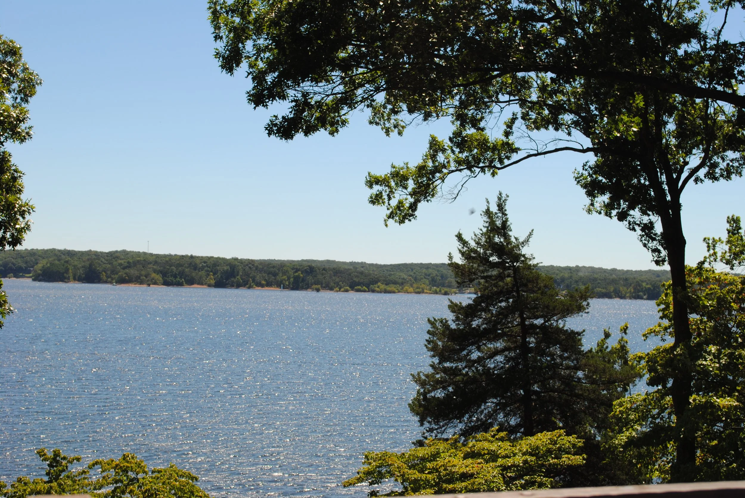 DSC_0118.JPG