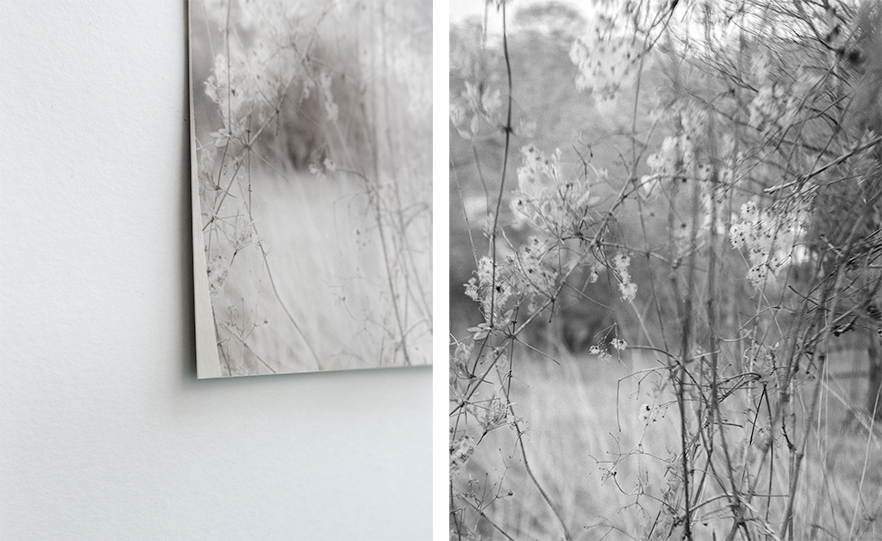 Diptych PSD@0.5x.png