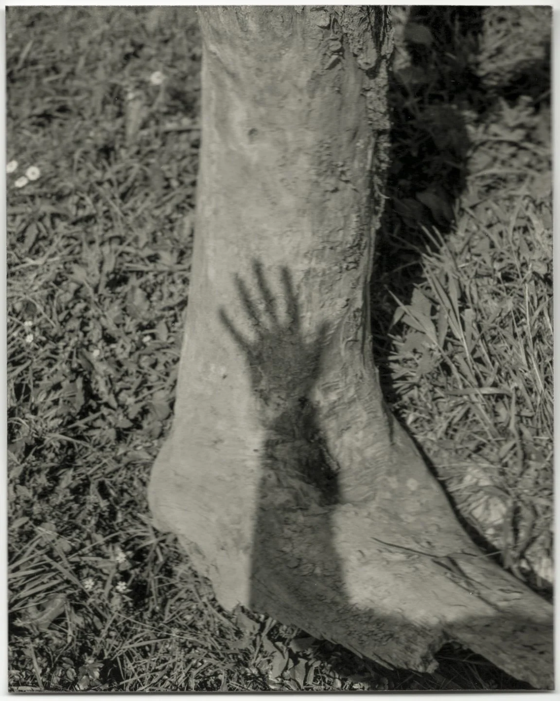 Image_20251222_0002 copy.jpg