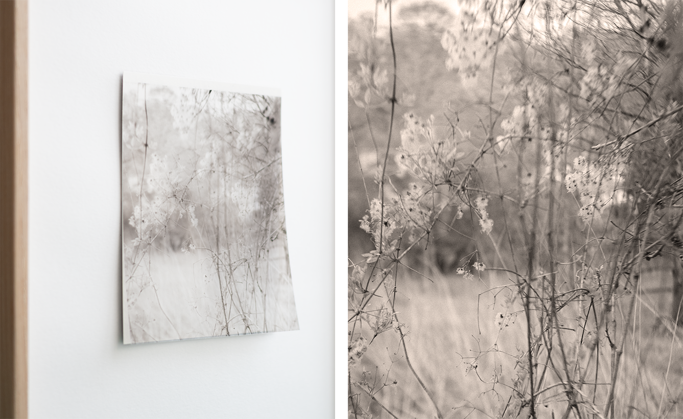 Travellers Joy Diptych@0.5x@0.5x.png