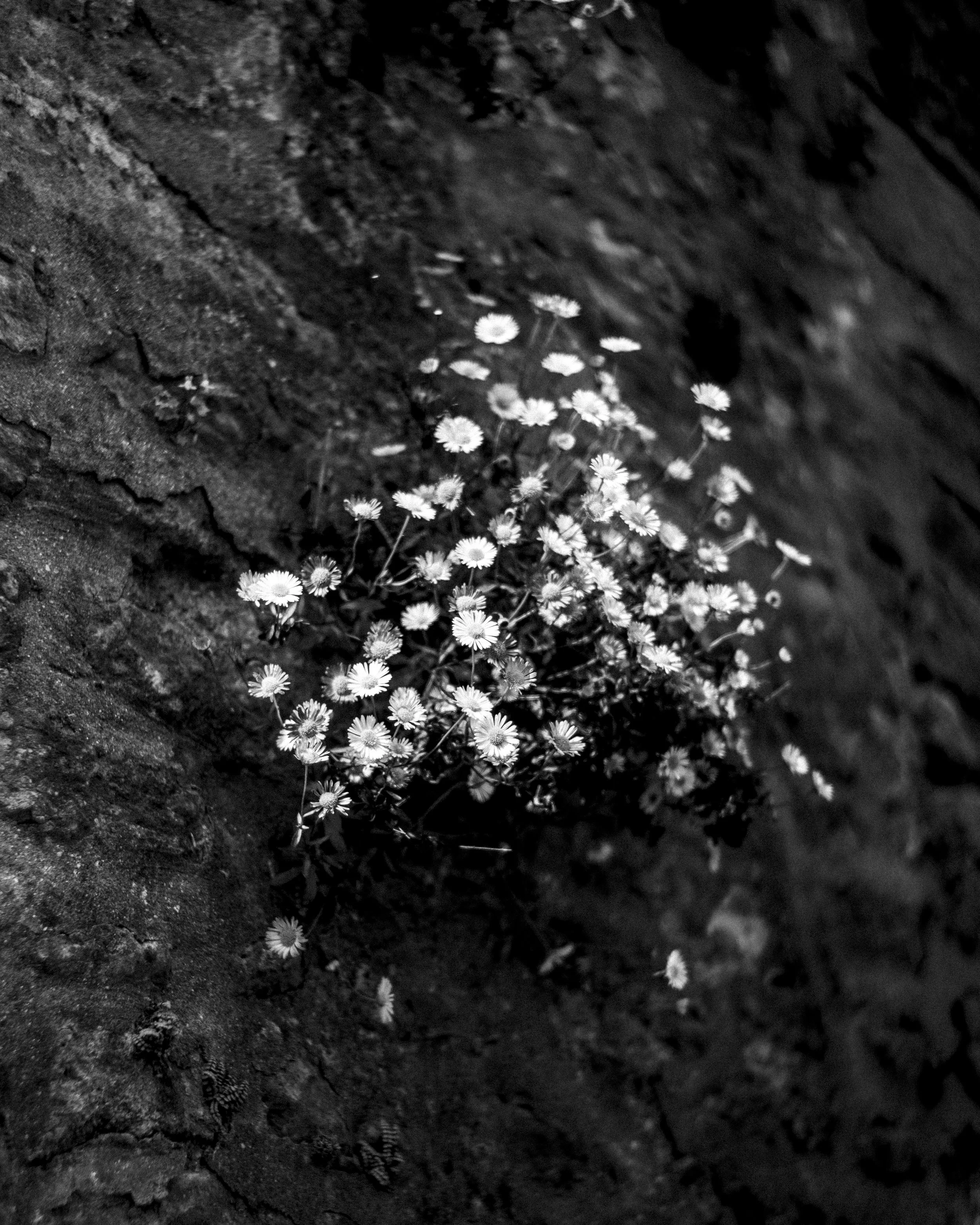 _DSC3168.jpg