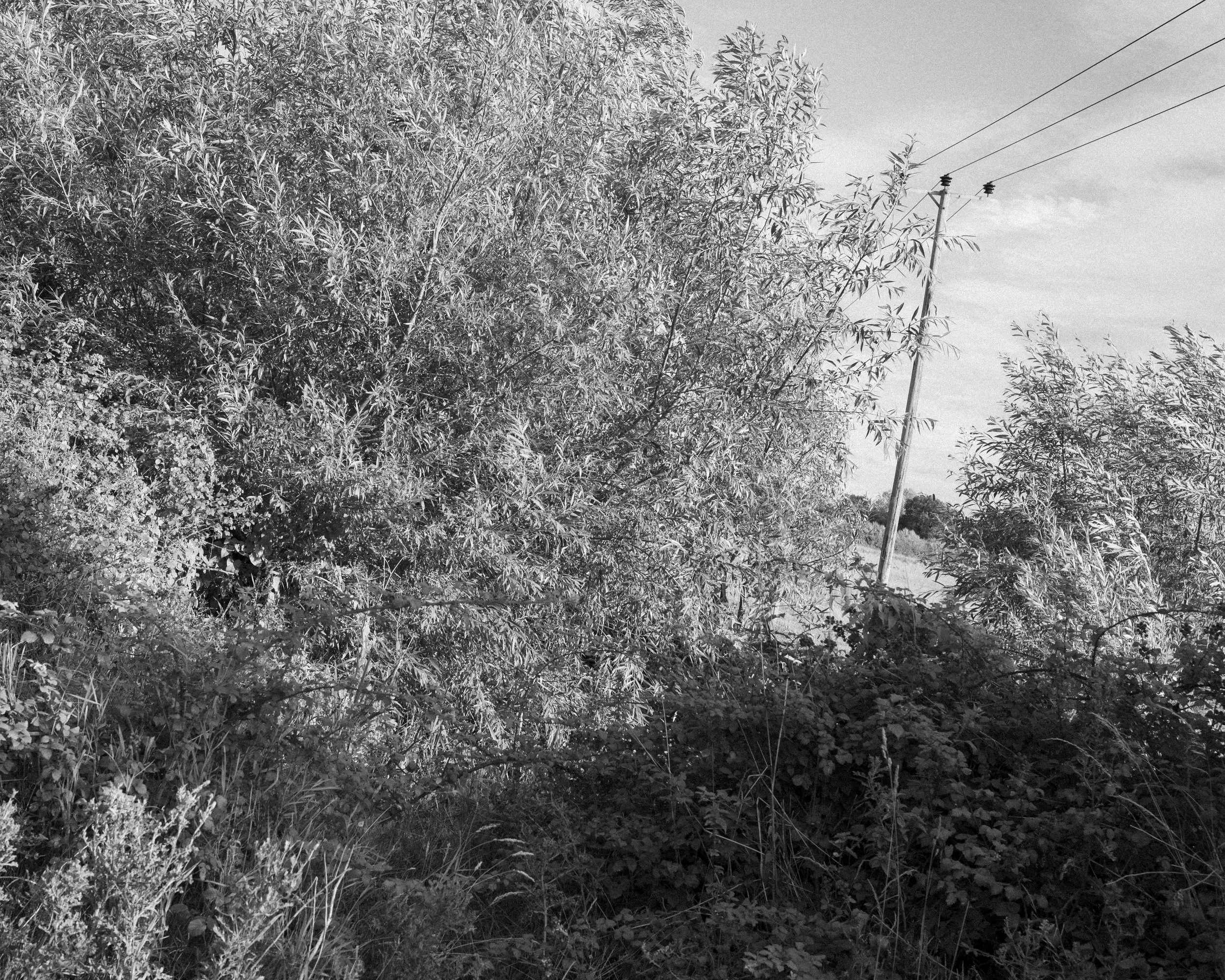 _DSC0259.jpg