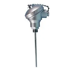 Industrial thermometer with a long metal probe and digital display