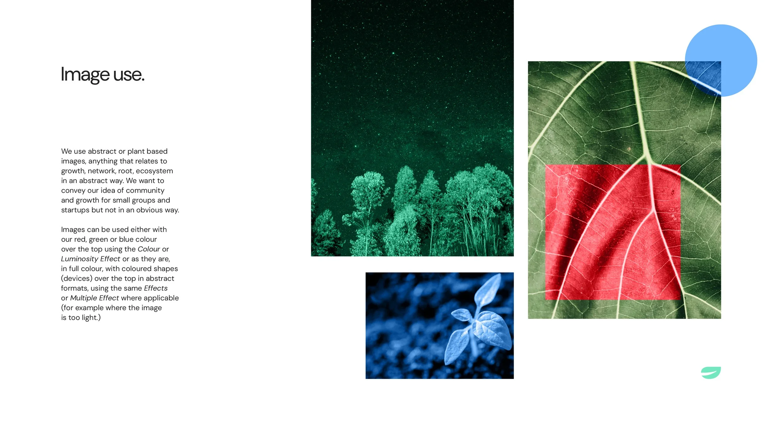 Olda example of shape colour and photography useage with the elements and library formulated for the brand