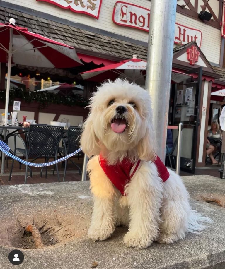 m12-768x919 (1).jpeg