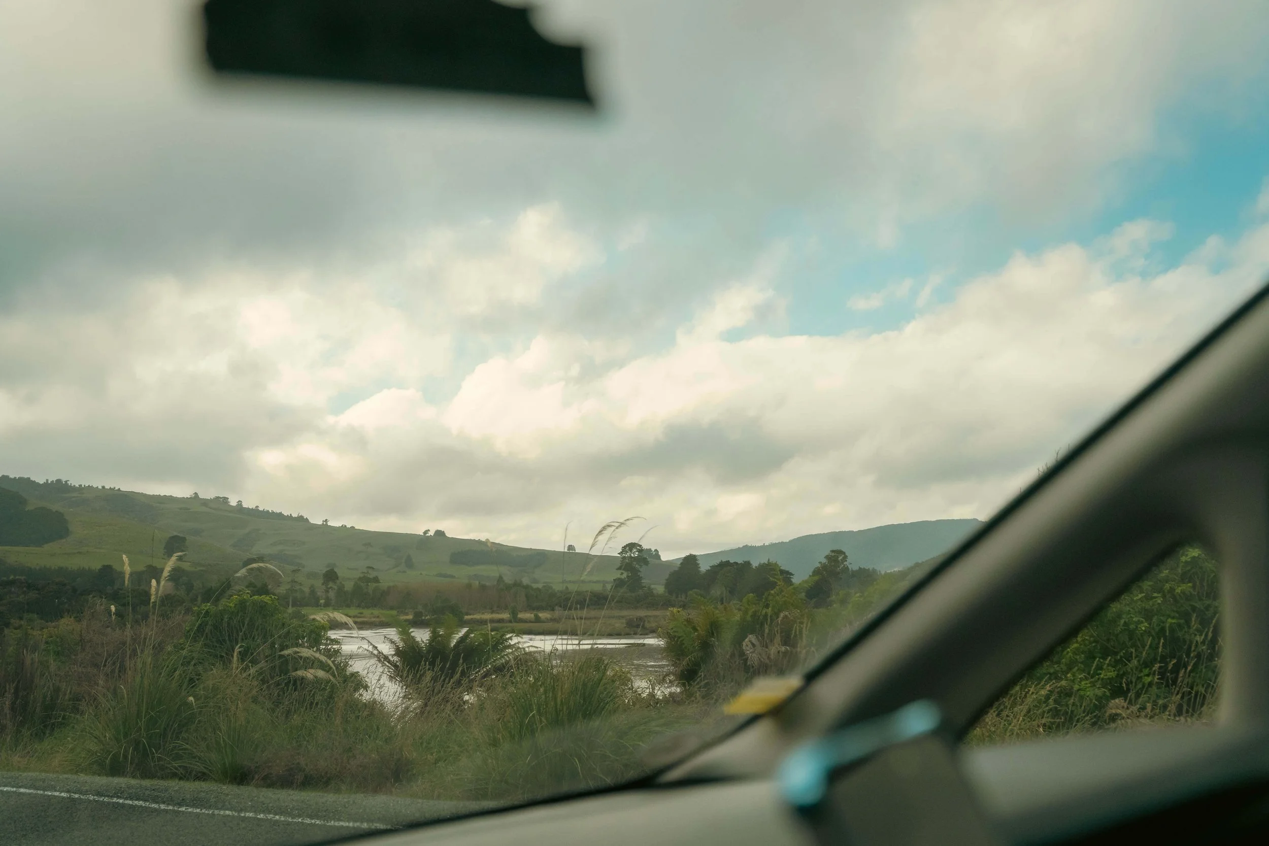 NZ-224-3.jpg