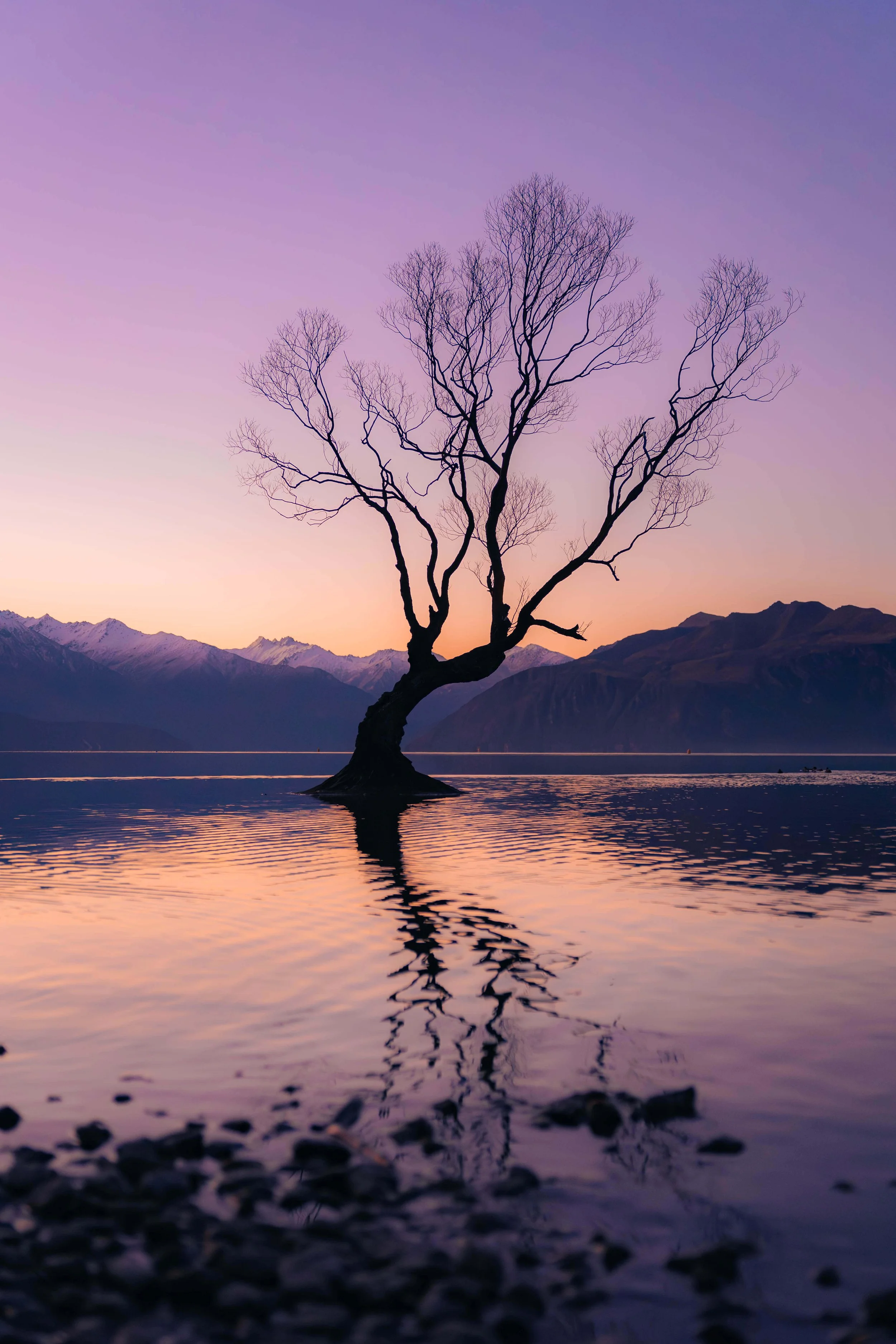 NZ-101-6.jpg