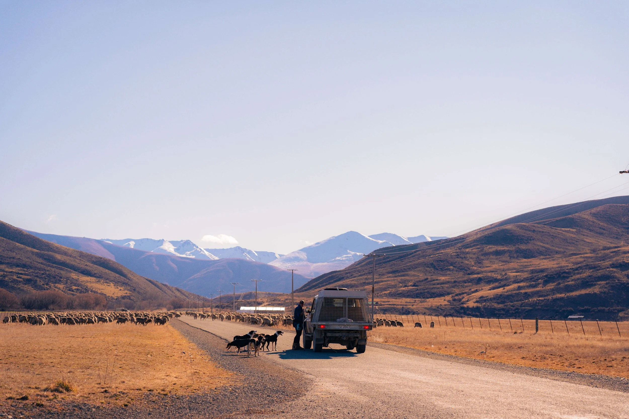 NZ-85-3.jpg