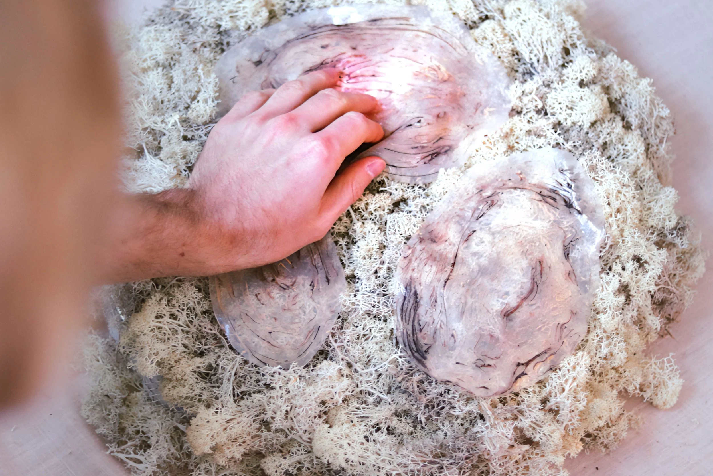 Aesthetics of Interaction