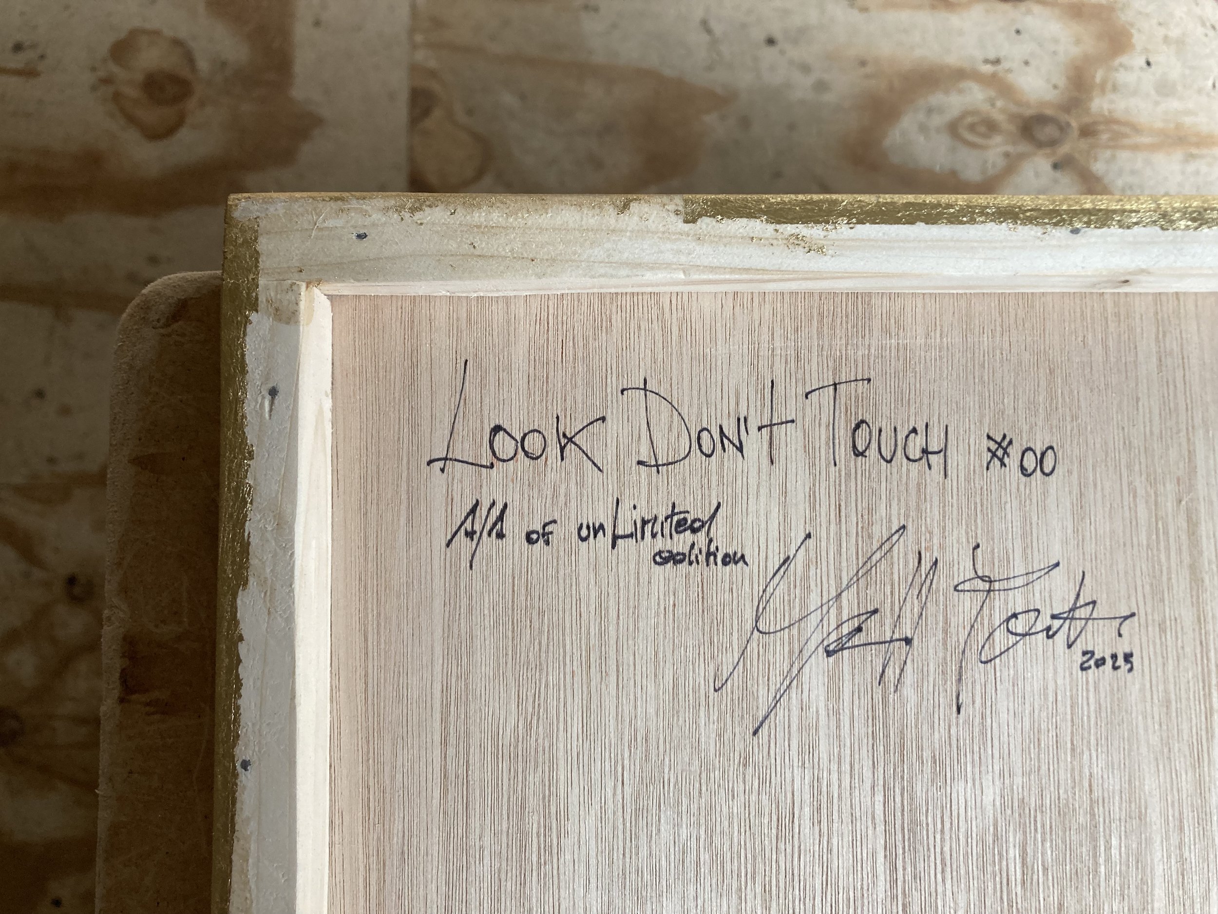 look don't touch signature.jpg