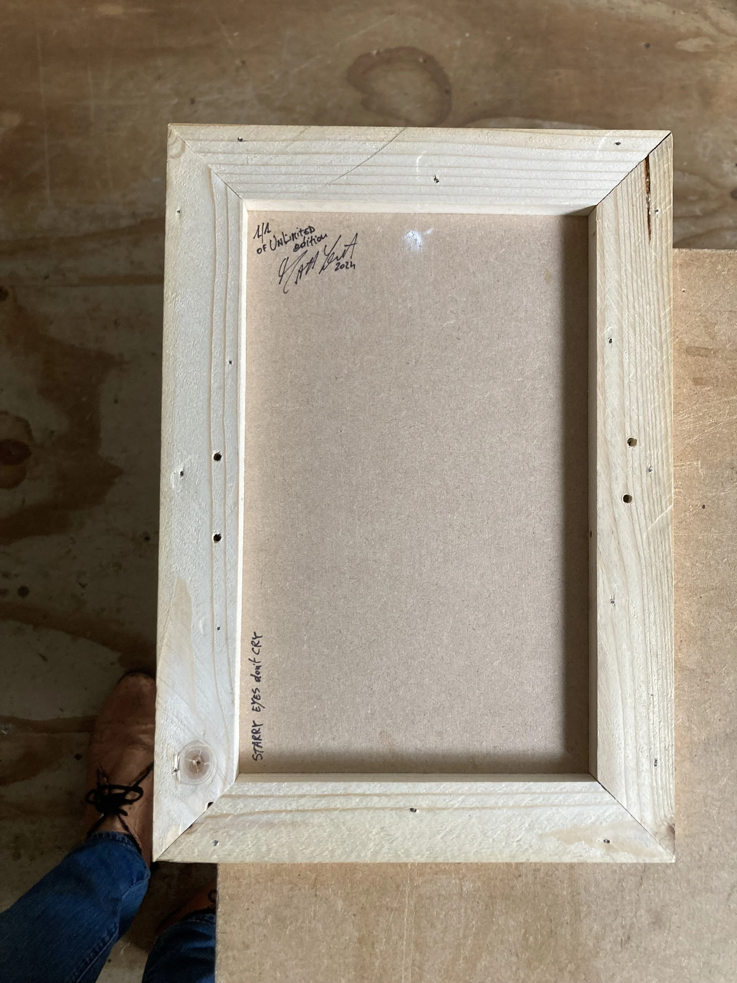 Starry Eyes Don't Cry - Rogue by Matt Youth back.jpg