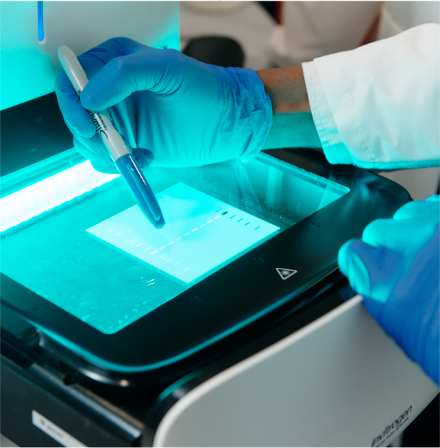 Person wearing blue gloves using a pipette to transfer liquid onto a small paper sample inside a machine with a blue light.