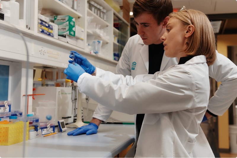 Two scientists working in a laboratory, both wearing lab coats and gloves, examining a sample together.