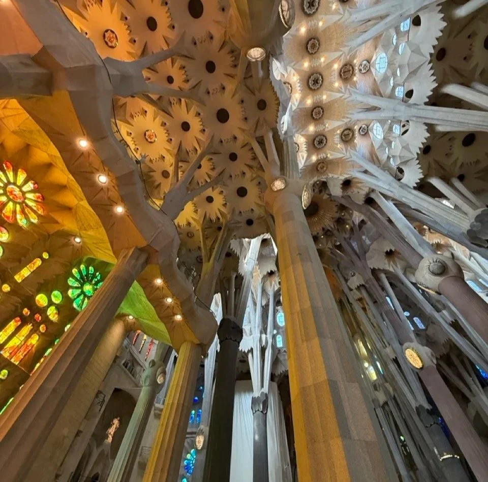 Das Fatale des Ideals … und der Segen der fehlenden Klarheit