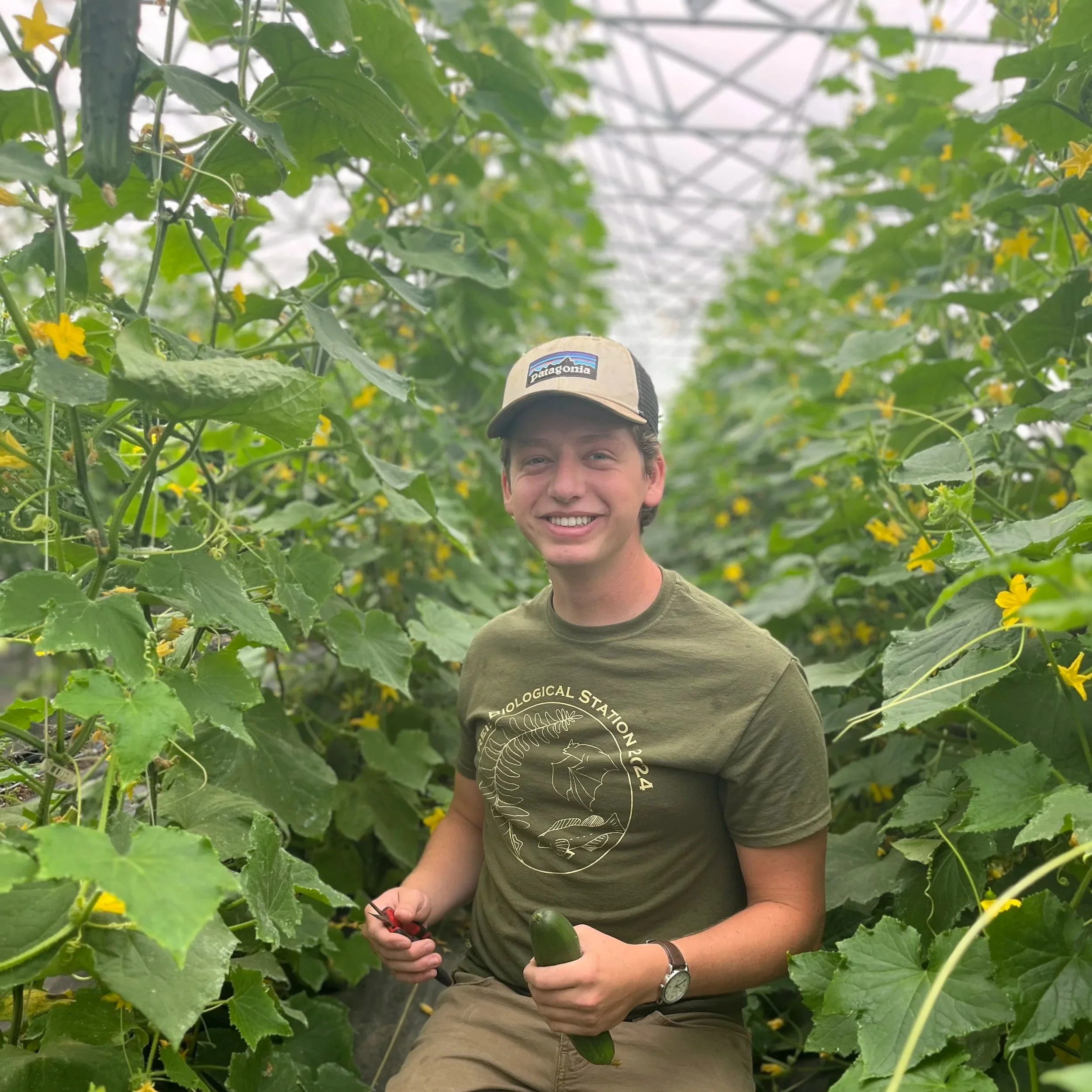 A young man smiling while working in a greenhouse filled with cucumber plants, holding a cucumber and pruning shears.