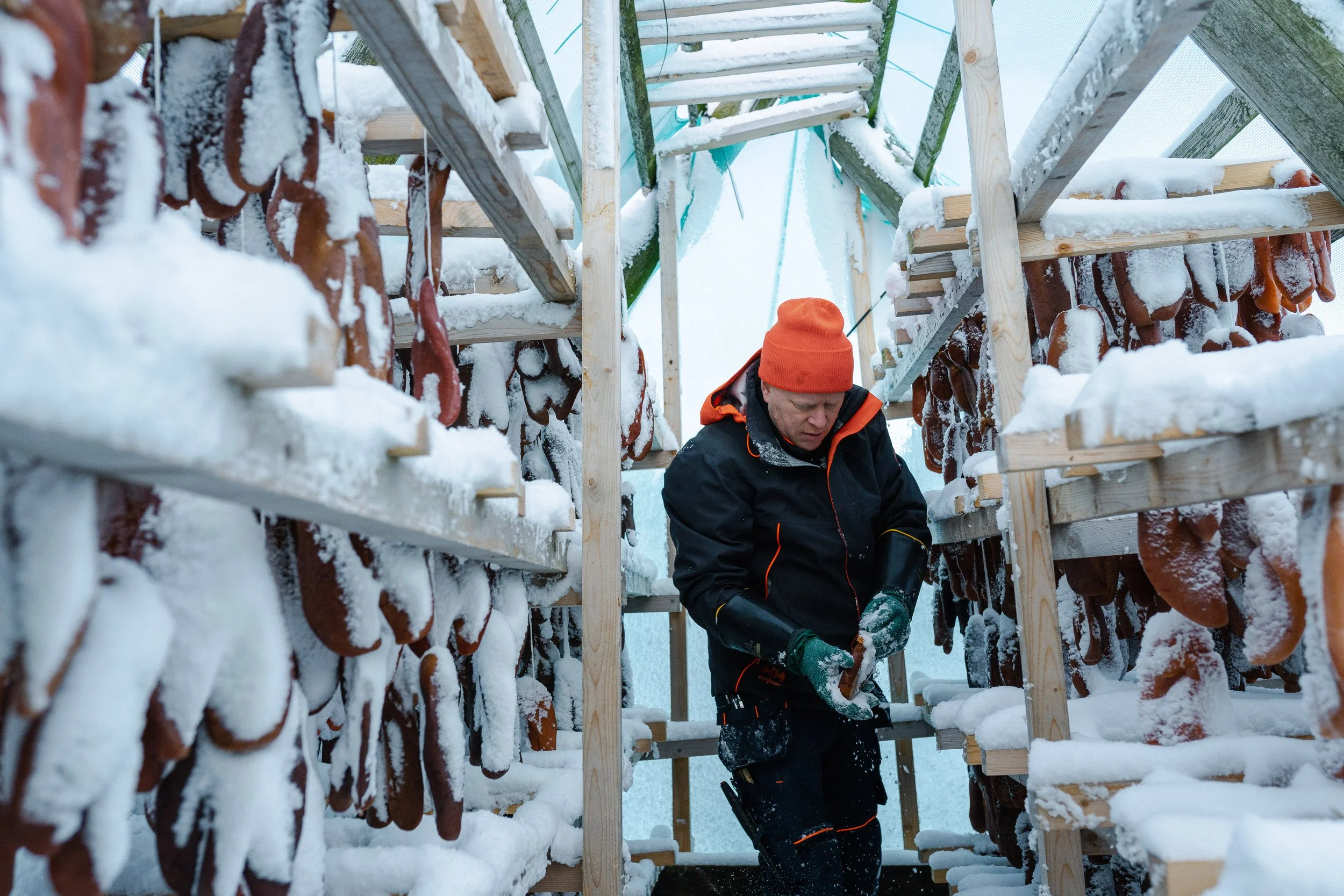 A man in a black jacket and orange beanie working in a snow-covered outdoor fish drying rack, hanging cod roe on wooden shelves.