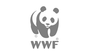 Logo  WWF 