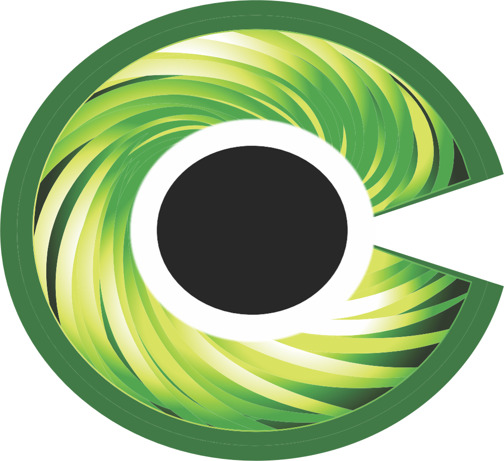 CORE Services Group