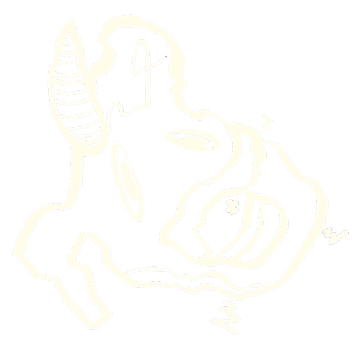 Line drawing of a human skull in profile, featuring detailed outlines of facial structure, eye socket, nose, mouth, and teeth against a black background.