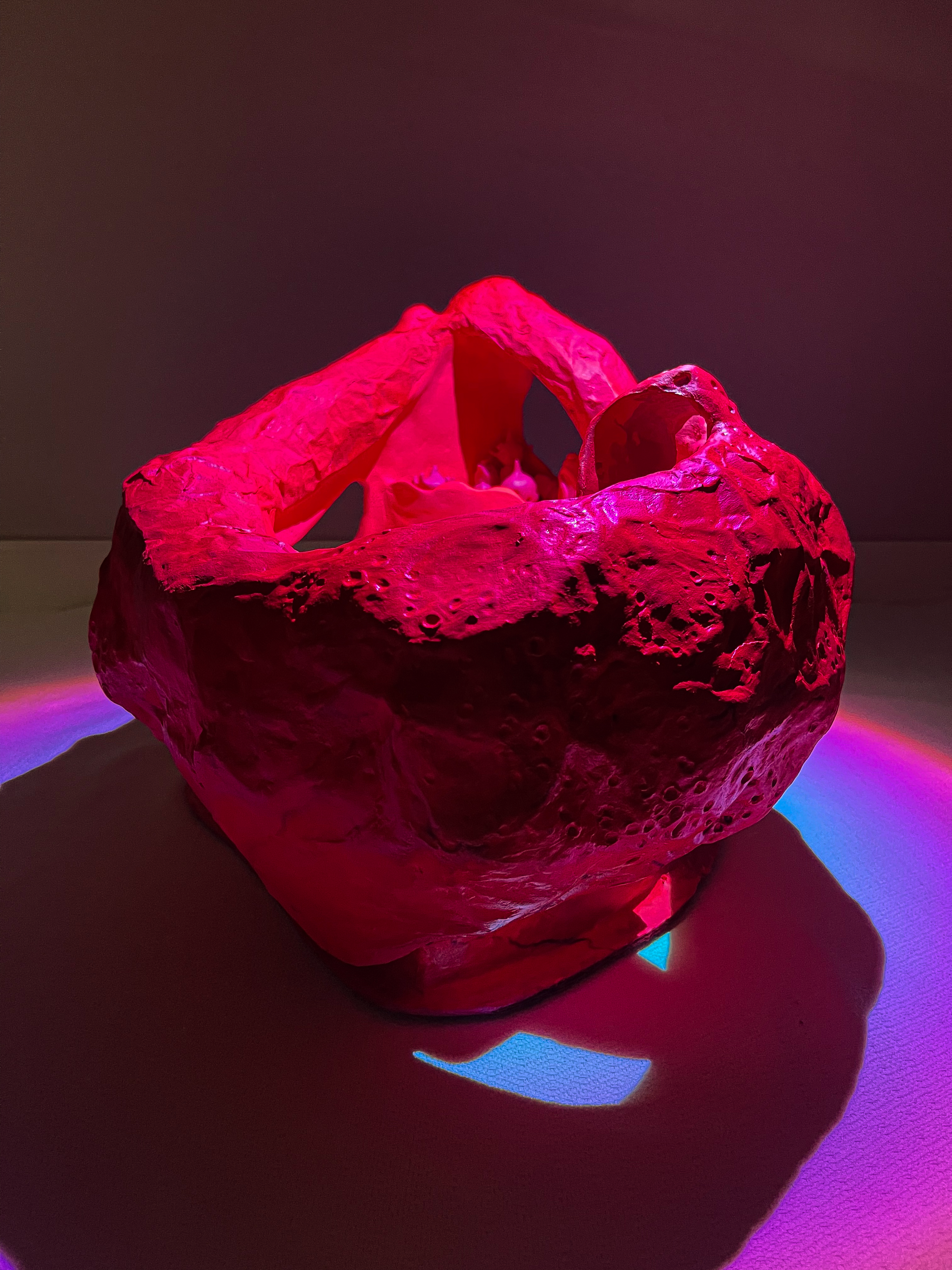 A pinkish-red, irregularly shaped ceramic or sculptural object with a hollow interior, illuminated with pink and purple lighting, casting a colorful shadow on the surface below.