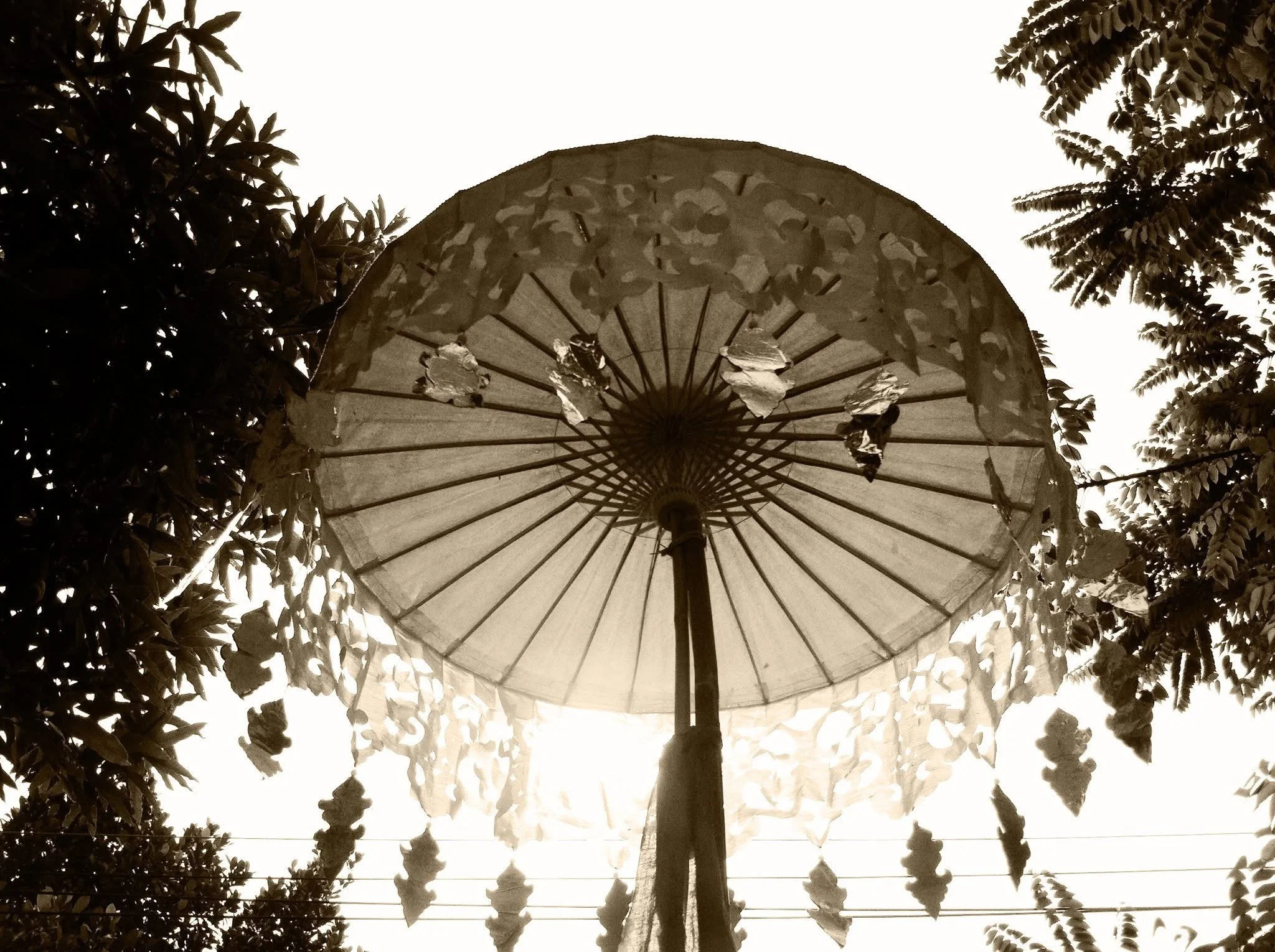 Sepia-toned photograph of a traditional paper parasol viewed from below, surrounded by tree leaves, with sunlight shining through.