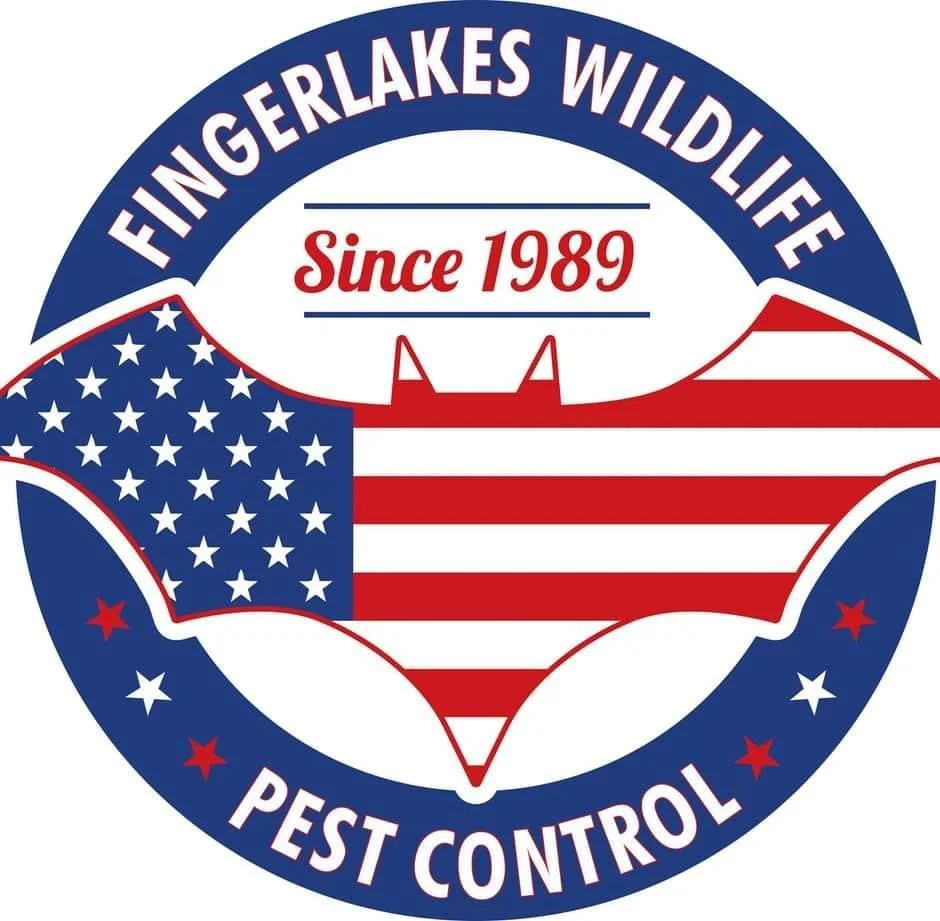 Fingerlakes Wildlife and Pest Control Best Bat Removal Service in Syracuse NY and Rochester NY