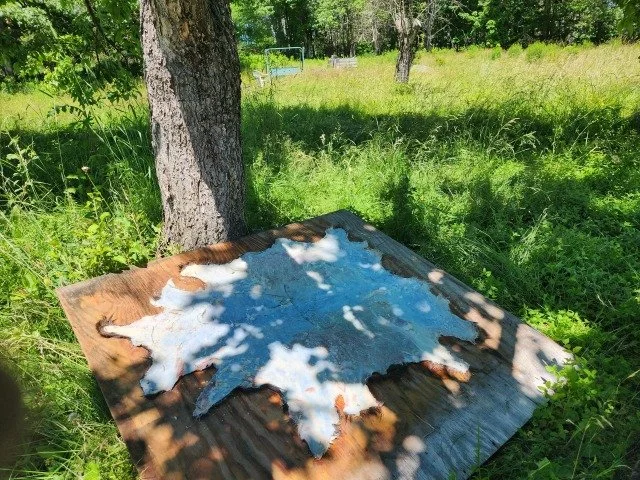 animal welfare in slaughter