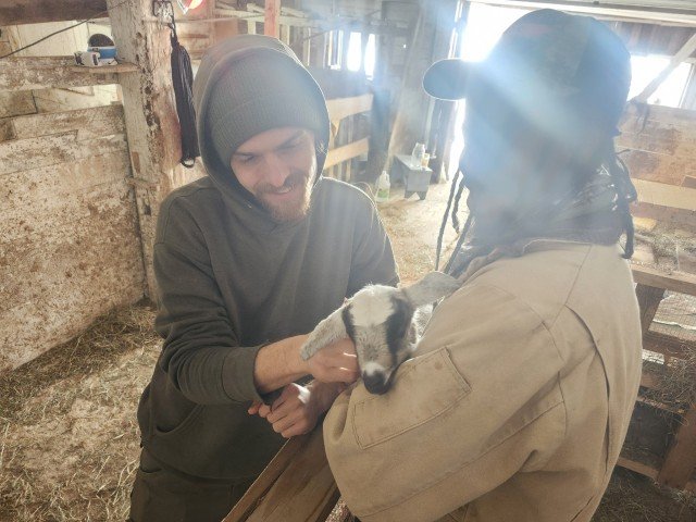 Two young men exchanging a goat kid inside a wooden barn.